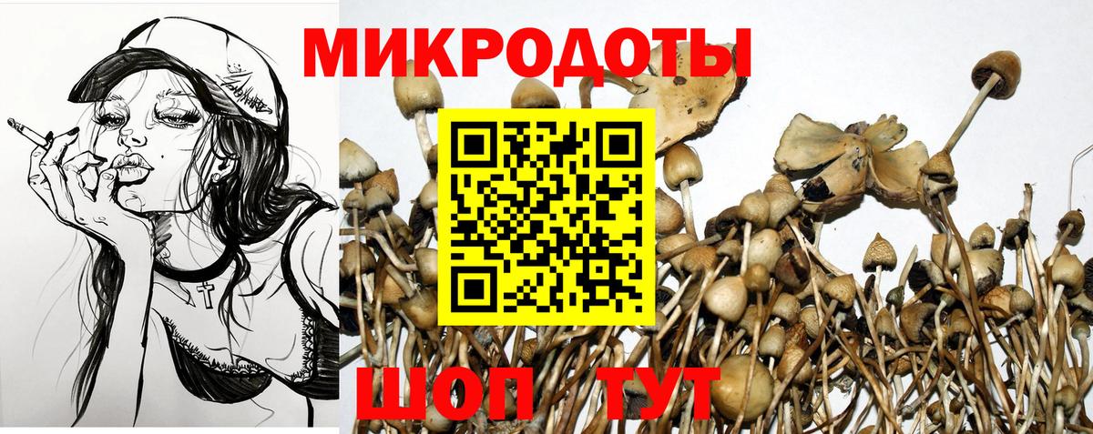 Псилоцибиновые грибы мухоморы Электросталь
