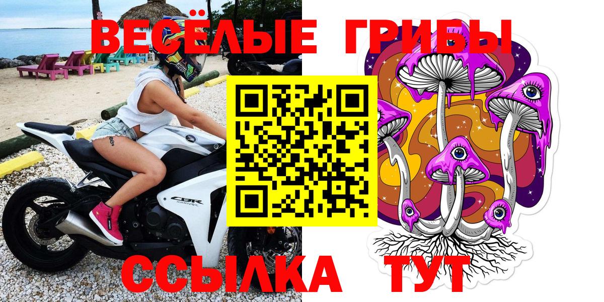Электросталь  Псилоцибиновые грибы прущие грибы  Вход с VPN  Галлюциногенные грибы мицелий 